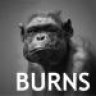 Aardvark Burns