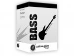 Bass_guitar-11.jpg
