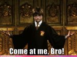 harry-potter-come-at-me-bro.jpg