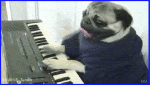 Pug Playing a Piano Funny Dog Puppy Gif MM.gif
