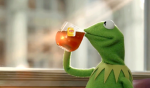 Kermit-The-Frog-Memes-Thats-None-Of-My-Business-Tho-What-The-Vogue-440x258.png