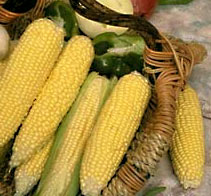 corn.jpg