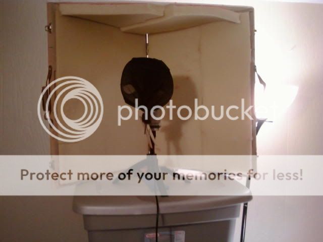 p_00394.jpg