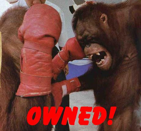 owned4.jpg