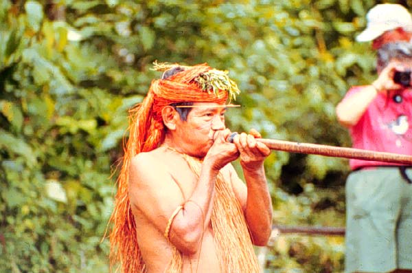 51_blowgun_full.jpg